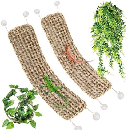 Two natural seagrass reptile hammocks mounted in terrarium