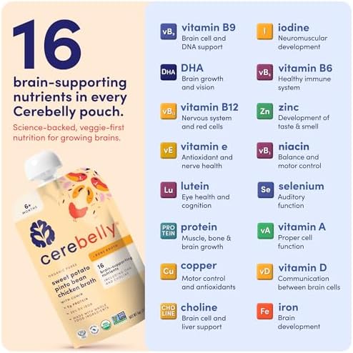 Close up of Cerebelly baby food texture and color.
