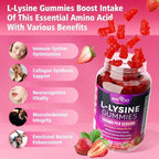 Nutritional facts and ingredient panel on the back of Bvivloo L-Lysine gummies bottle.