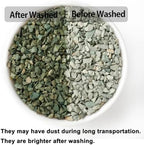 Green zeolite decorative gravel arranged in a glass terrarium container