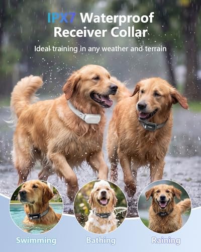 Patpet dog training collar adjustable strap