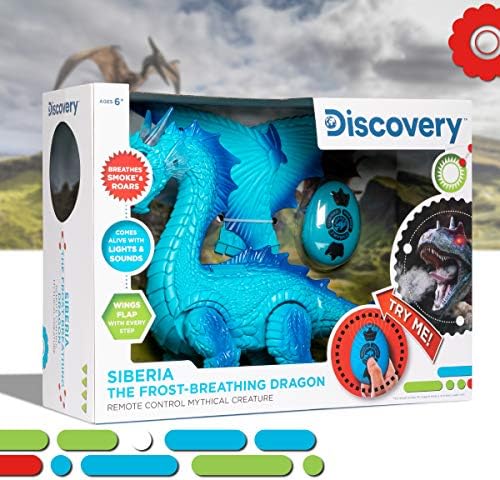 Discovery dragon packaging and included accessories display
