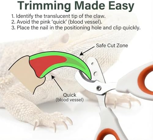 Compact stainless steel bearded dragon supplies for safe claw maintenance.