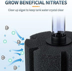 Clear plastic uplift tube on Pawfly aquarium filter