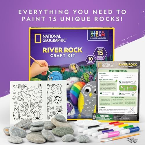 Complete contents of the premium educational STEAM rock painting activity kit arranged flat on a table.