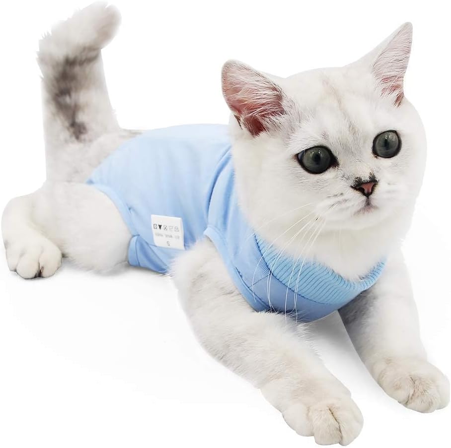 A domestic kitten wearing the lightweight anti-licking recovery suit comfortably indoors.