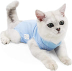 A domestic kitten wearing the lightweight anti-licking recovery suit comfortably indoors.