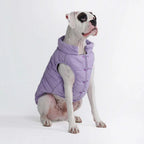 Spark Paws pet apparel showcasing high visibility reflective strips for night walks