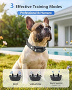 Patpet rechargeable dog collar receiver and remote set