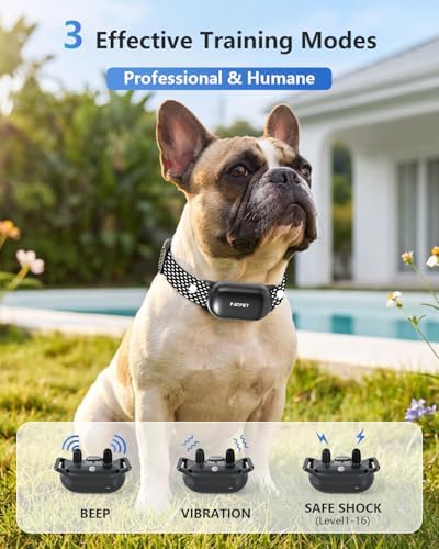 Patpet rechargeable dog collar receiver and remote set
