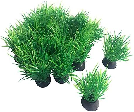 Smoothedo-Pets twenty piece mini grass set layout