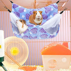 Boao guinea pig and rat hammock top and bottom tier layout