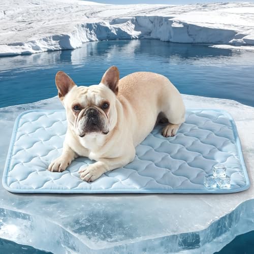 Medium size GASUR dog cooling pad placed on a living room hardwood floor.