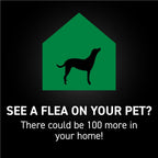 NEXTSTAR authentic imported pet pest control product label information