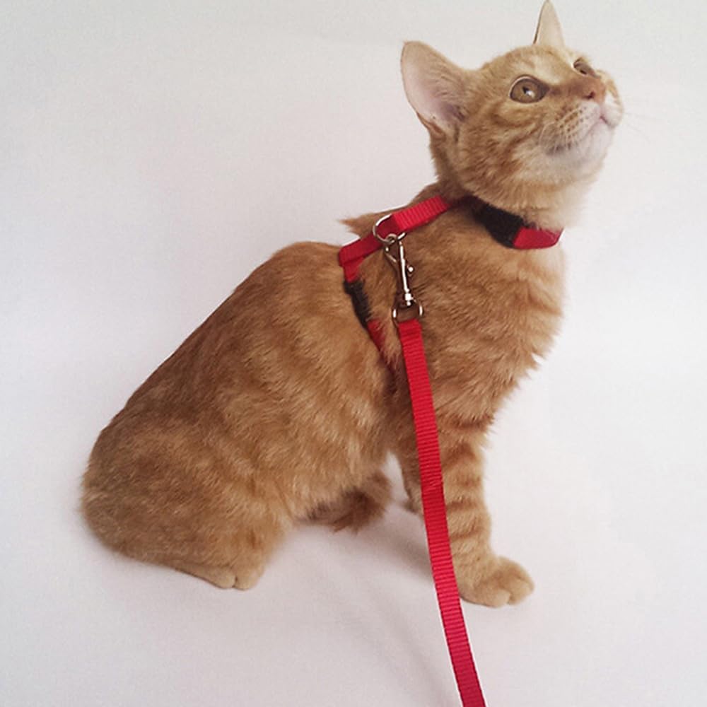 I-Shaped Escape-Proof Cat Leash 3-Pack - Adjustable Reflective Dog Leashes, Chest/Back Strap for Small Pets Walking - Image 4