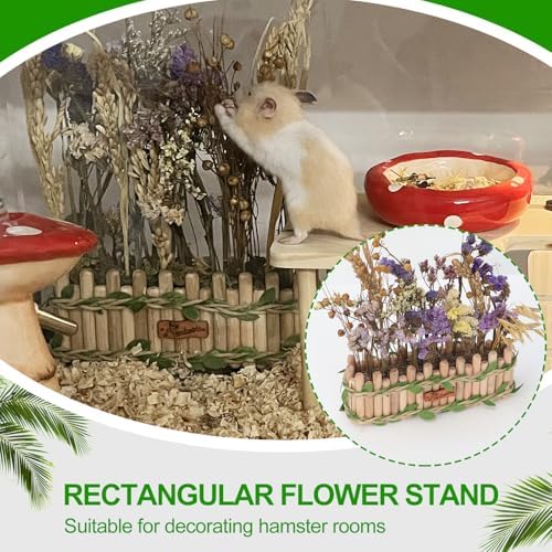 Hamster Cage Sprays Flower Foraging Holder - Natural Wood Feeding Stand, Small Pet Habitat Accessories for Hamsters Mouse Guinea Pig Dwarf Gerbils Syrian Mice (Leaf - Rectangle) - Image 5