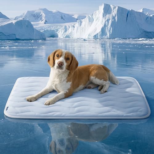 Bedsure thin breathable crate pad flat layout on home floor