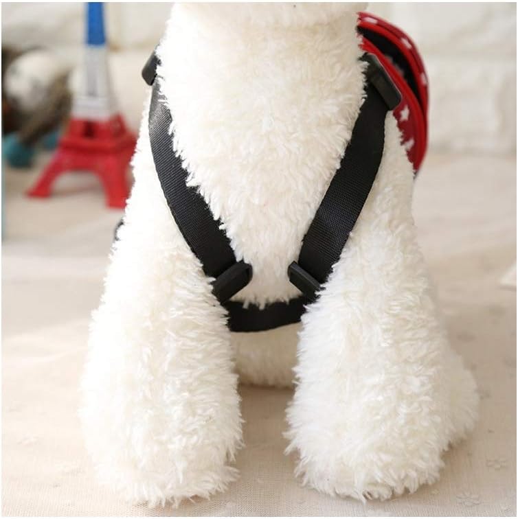 Star and stripe pattern details on imported puppy walking gear
