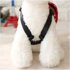 Star and stripe pattern details on imported puppy walking gear