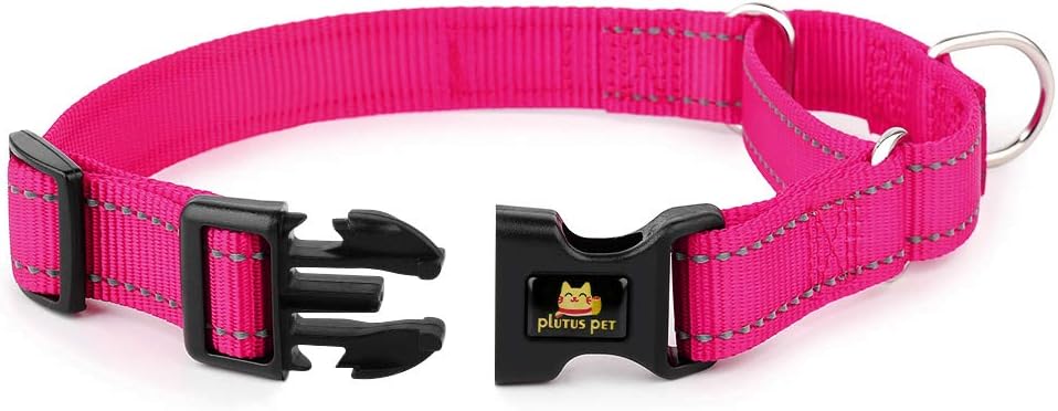PLUTUS PET no pull dog choker collar showing the durable quick snap buckle design