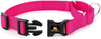 PLUTUS PET no pull dog choker collar showing the durable quick snap buckle design
