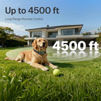 Long range dog electronic collar remote screen and controls detailed view