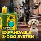 Dogtra authentic USA imported electronic pet training system on white background.