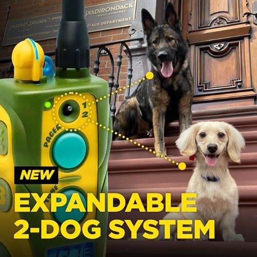 Dogtra authentic USA imported electronic pet training system on white background.
