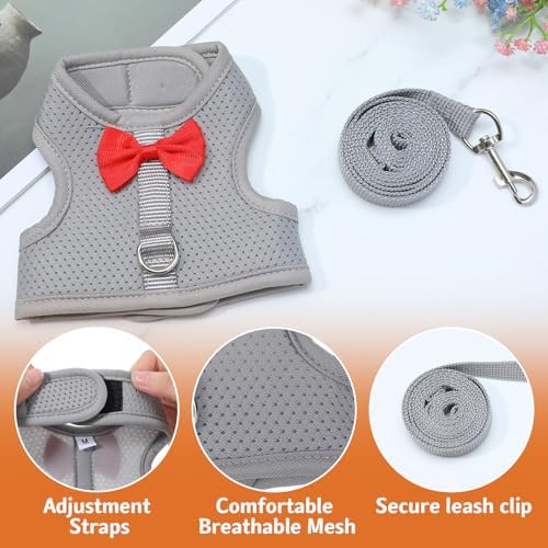 Prasacco medium size bunny harness showcasing the forty-seven inch matching grey durable nylon leash