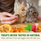 Doc Eddie's Digestive Bites human grade small animal treats for gut health.