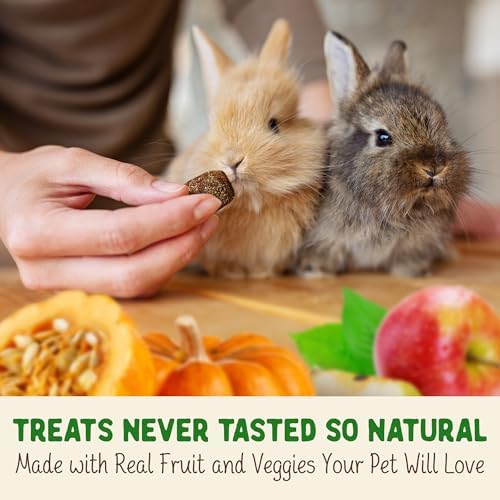 Doc Eddie's Digestive Bites human grade small animal treats for gut health.