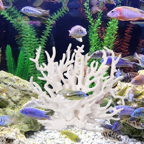 Detailed close up of Tinoaly white aquarium coral ornament branches