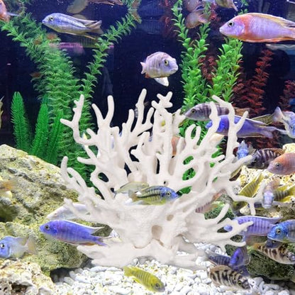 Detailed close up of Tinoaly white aquarium coral ornament branches