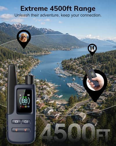 Long range 4200 feet dog training collar remote with security keypad lock mechanism.