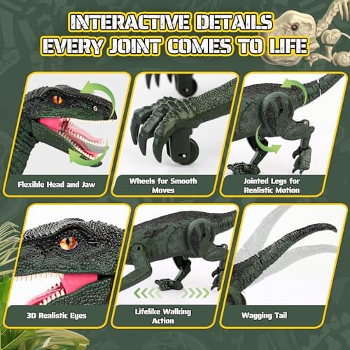 Educational assembly of Rcfunkid Jurassic dinosaur toy parts