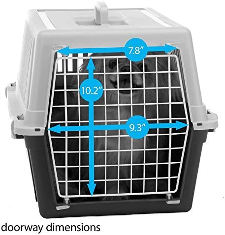 Durable hard case cat transport carrier blue plastic shell design