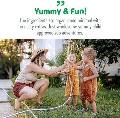 USA imported Little Bellies organic baby and toddler snacks product range lineup