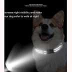 Adjustable limited choke dog collar displaying night visibility reflective stitching