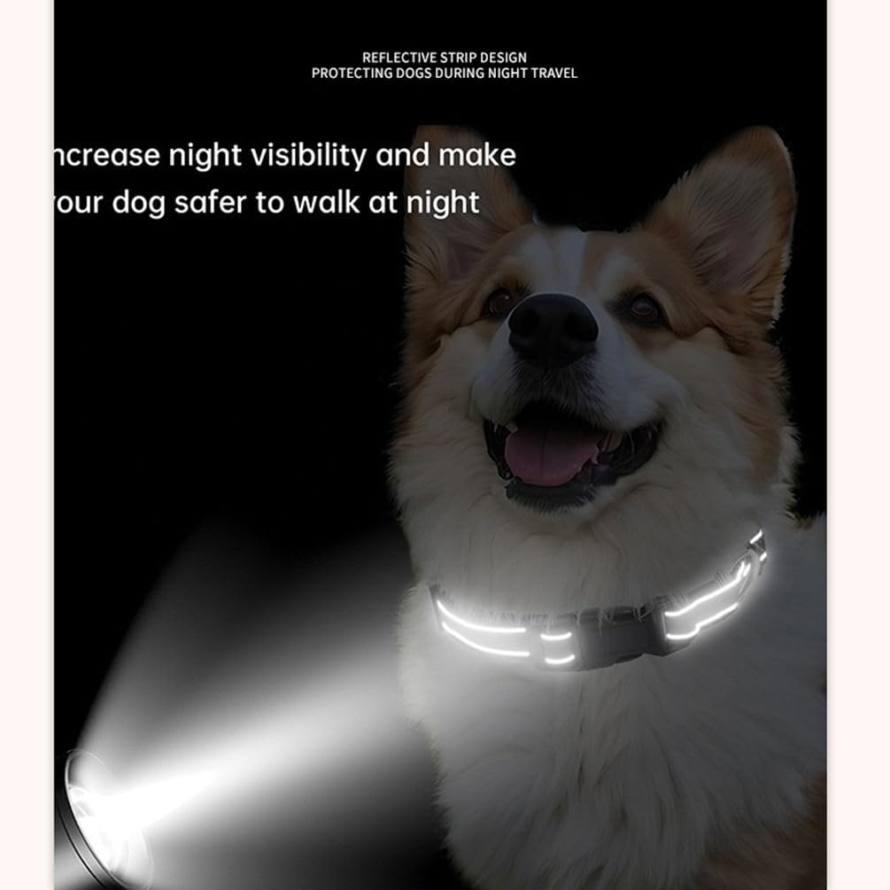 Adjustable limited choke dog collar displaying night visibility reflective stitching