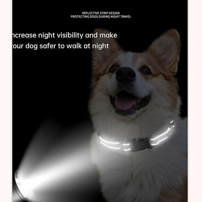 Adjustable limited choke dog collar displaying night visibility reflective stitching