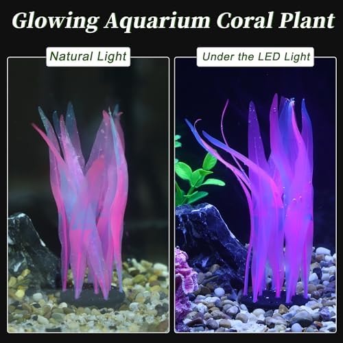 CAPASTEC aquarium fluorescence coral decor packaged dimensions and size verification