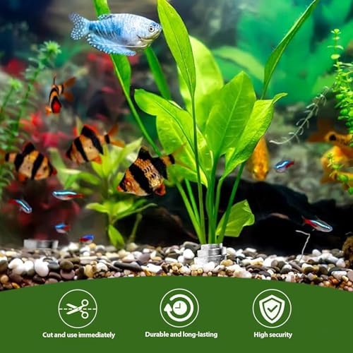 Havansidy live plant anchors keeping aquatic vegetation from floating close up