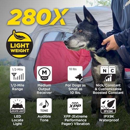 Dogtra 280X receiver collar with waterproof double casing and contact points