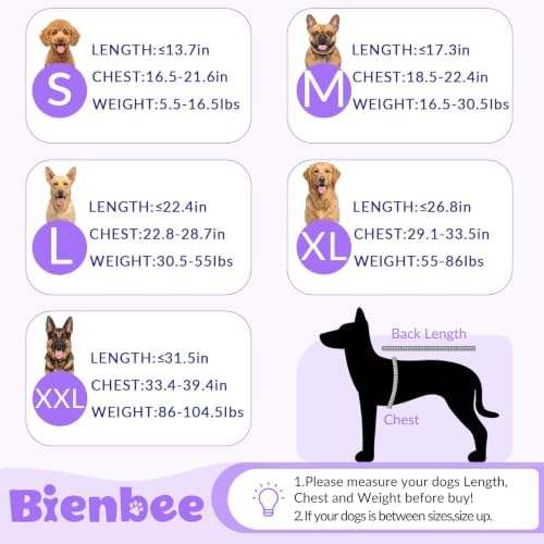 Rear view of Bienbee dog bathrobe showing coverage