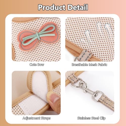 Reflective leash and beige bunny vest set flat lay