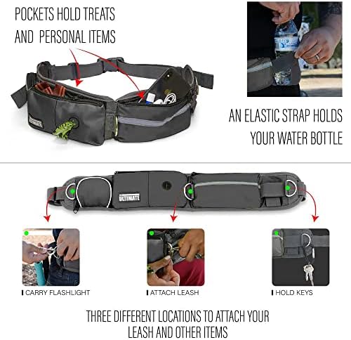 Durable metal hardware and stitching on Taksin leash