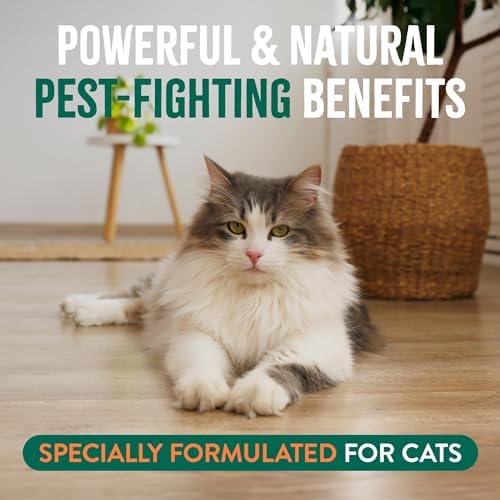 USA imported cat flea prevention mousse bottle back view