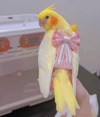 Bird Flight Suits Diapers, Parrot Diapers for Monk Parakeets, Cockatiels, Parrot Clothes Costume, Bird Training Nappy Suit Liners Clothes (Medium,White) - Image 9