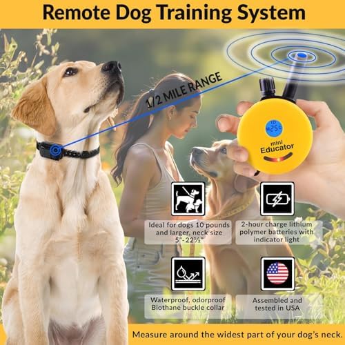 Teal Mini Educator electronic collar receiver close up highlighting contact points