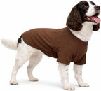Lovelonglong Pet Clothing Dog Costumes Dachshund Clothes Blank T-Shirt Tee Shirts for Dachshund Dogs,Corgi 100% Cotton White D-M - Image 13